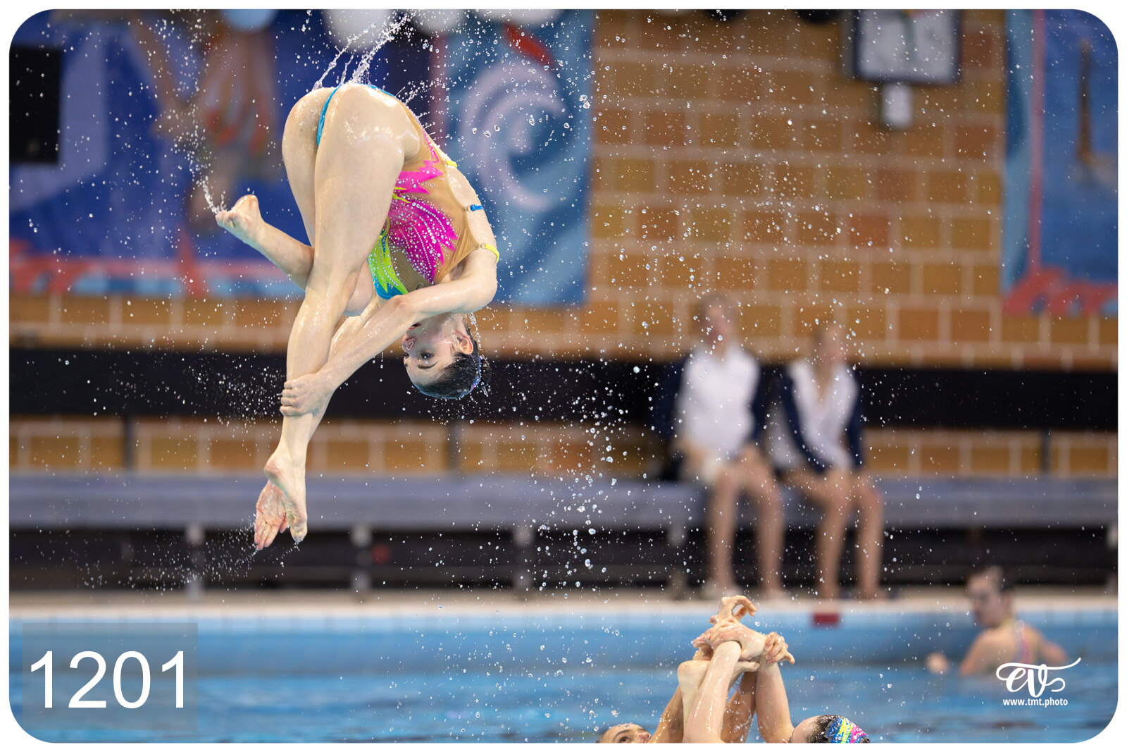 CHAMPIONNAT DE FRANCE DE NATATiON ARTISTIQUE N1 & ELITE 2026